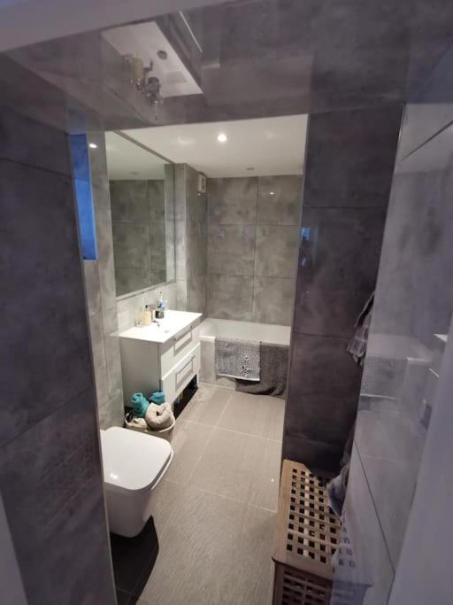Entire Apartment Alexandra Palace, Лондон Екстериор снимка